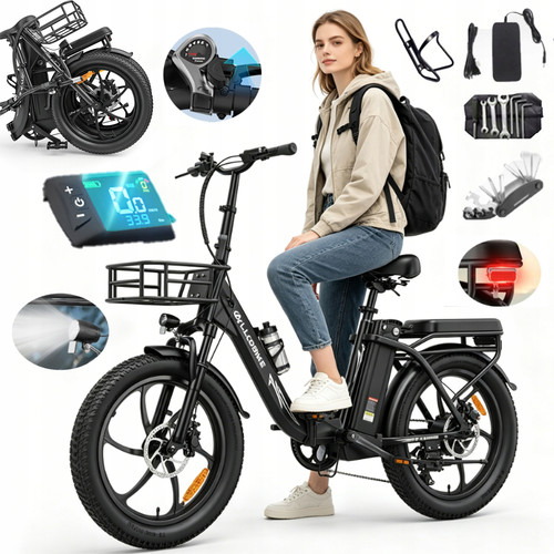 Bicicletta elettrica - elettrica, 20