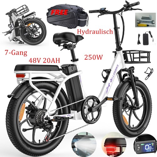 Bicicletta elettrica