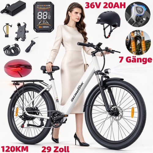 Bicicletta elettrica
