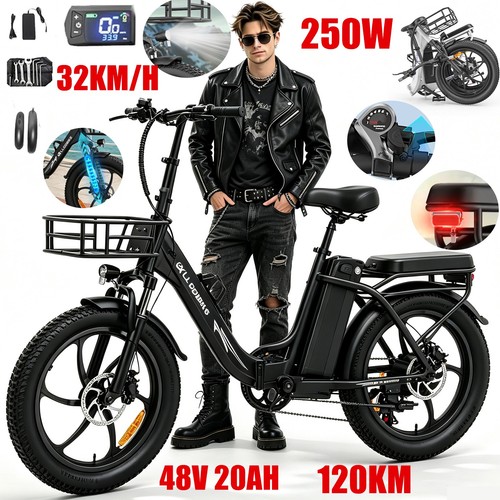 Bicicletta elettrica