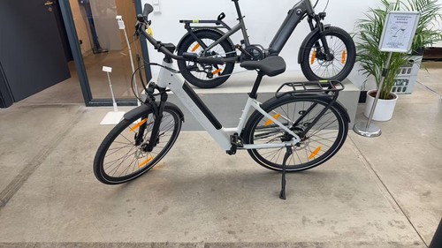 Deruiz bicicletta elettrica - bicicletta,