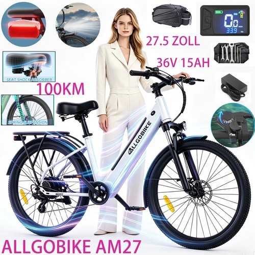 Bicicletta elettrica