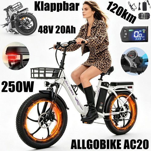 Bicicletta elettrica - bicicletta,